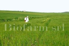 IMG_0269_453c7c8d