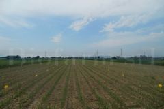 Parcellamento-02_203b9491