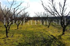 Parcellamento-11_7348534d